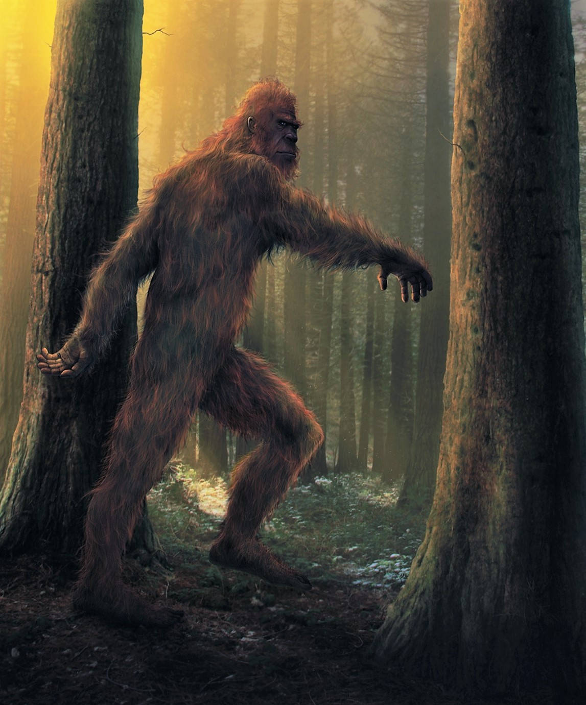 A Bigfoot Walking Through The Woods Background