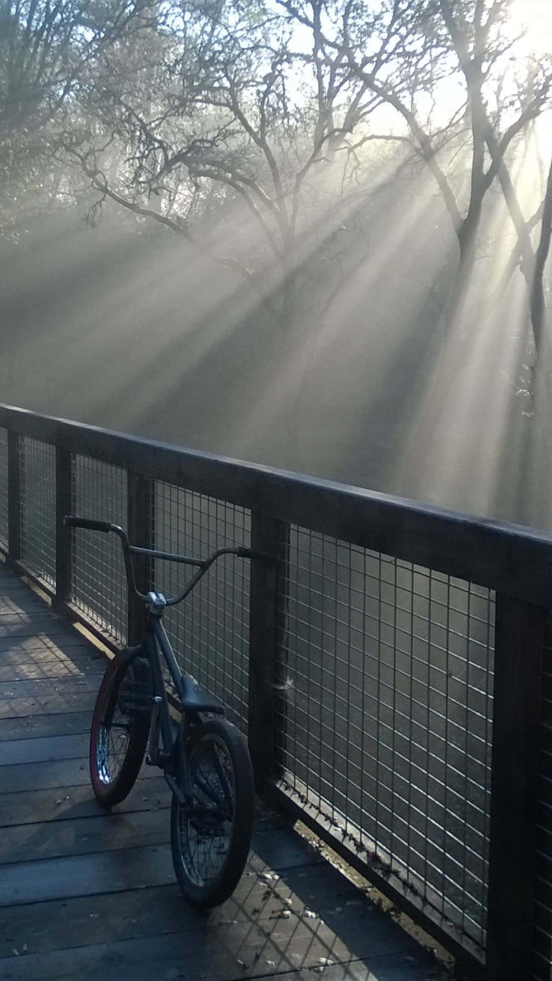 A Bike Parked On A Wooden Deck