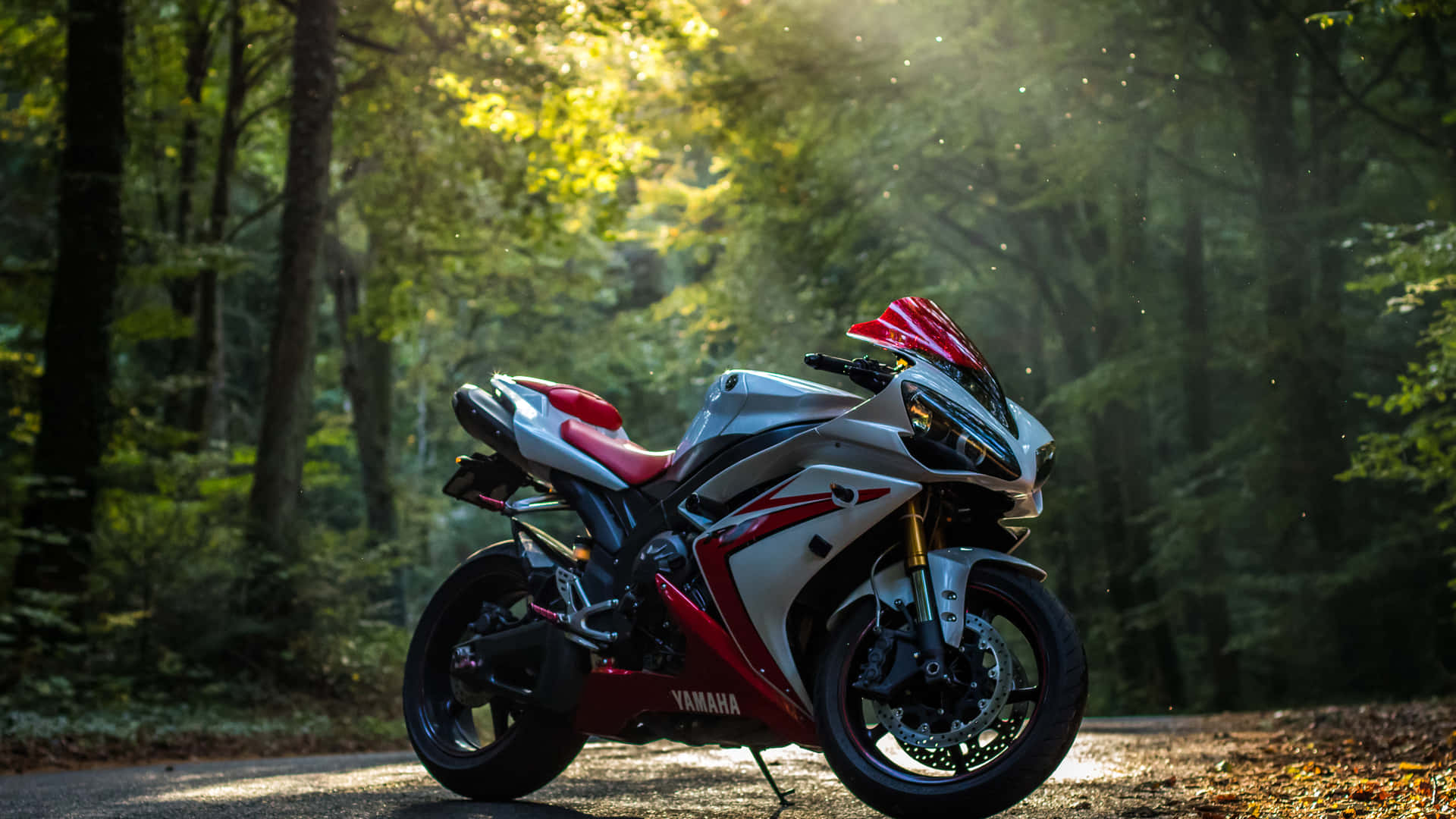A Biker Riding His 2560x1440 Motorcycle Along A Rural Road Background