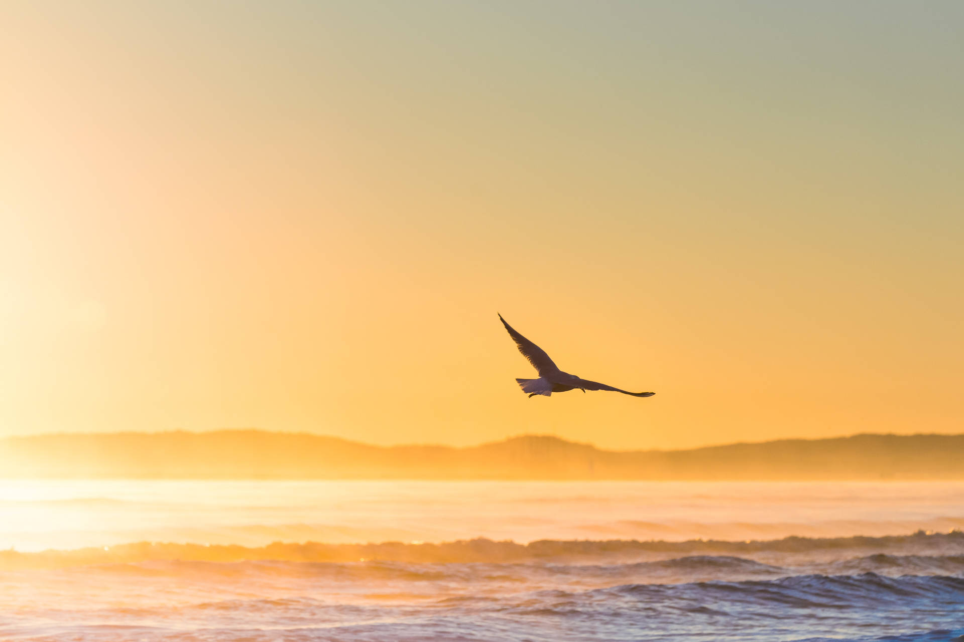 A Bird Flying Over The Ocean Background