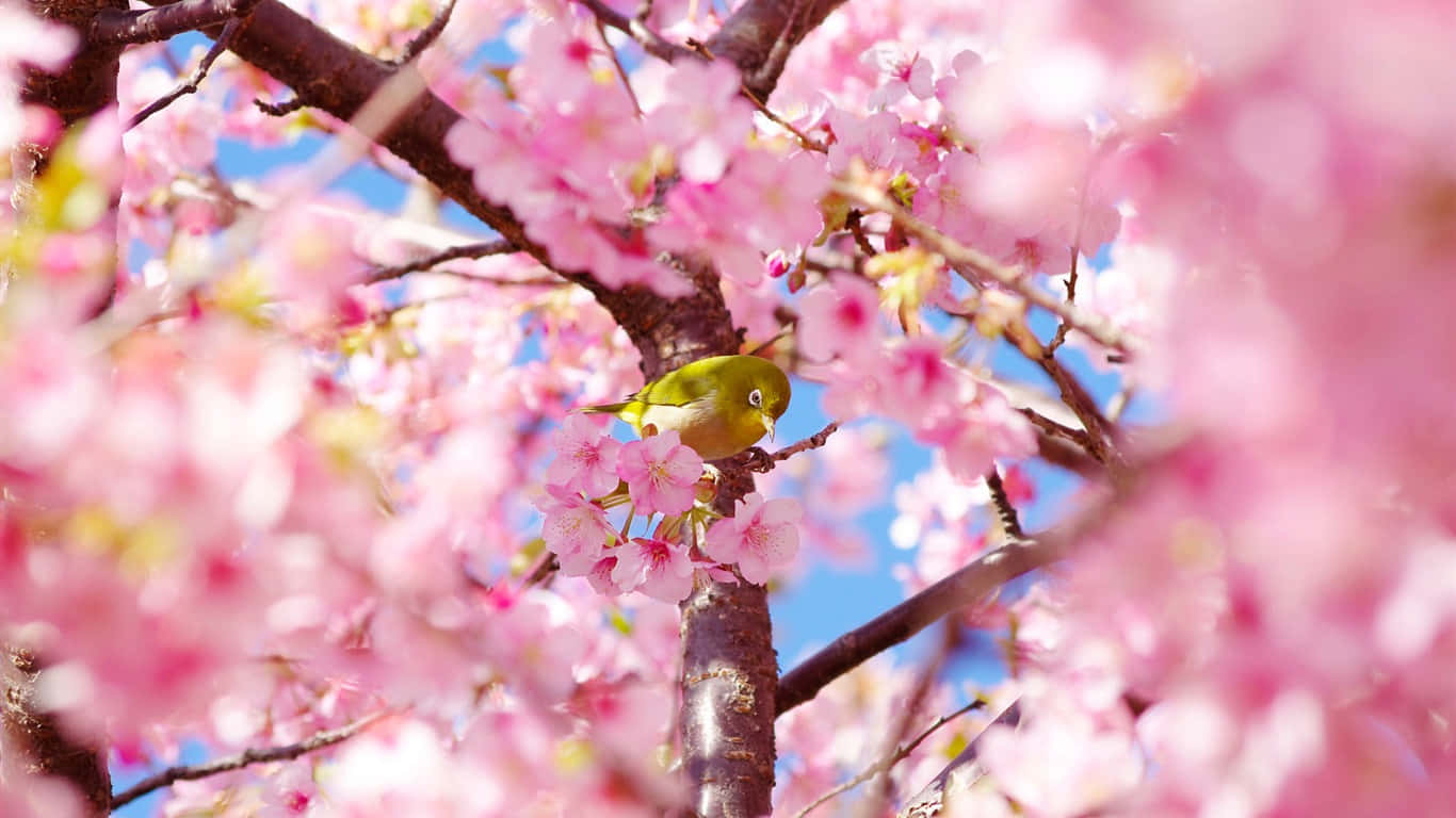 A Bird Is Sitting On A Pink Tree Branch Background