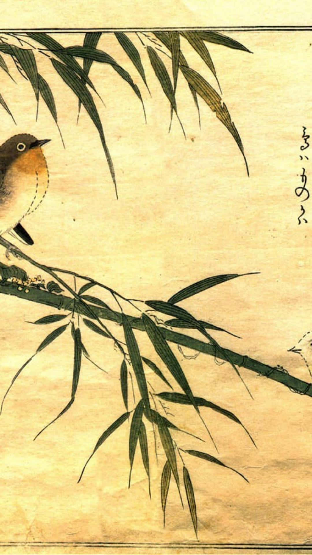 A Bird Perched On A Bamboo Branch