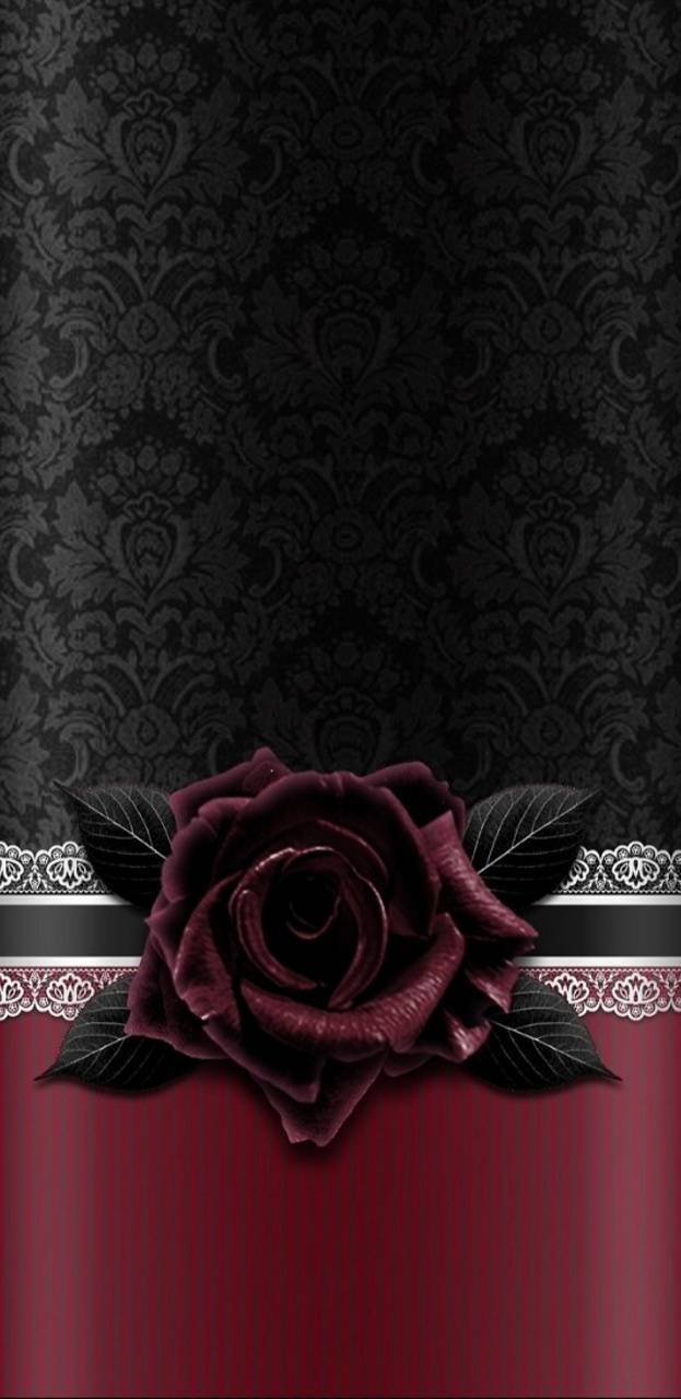 A Black And Red Rose On A Black Background