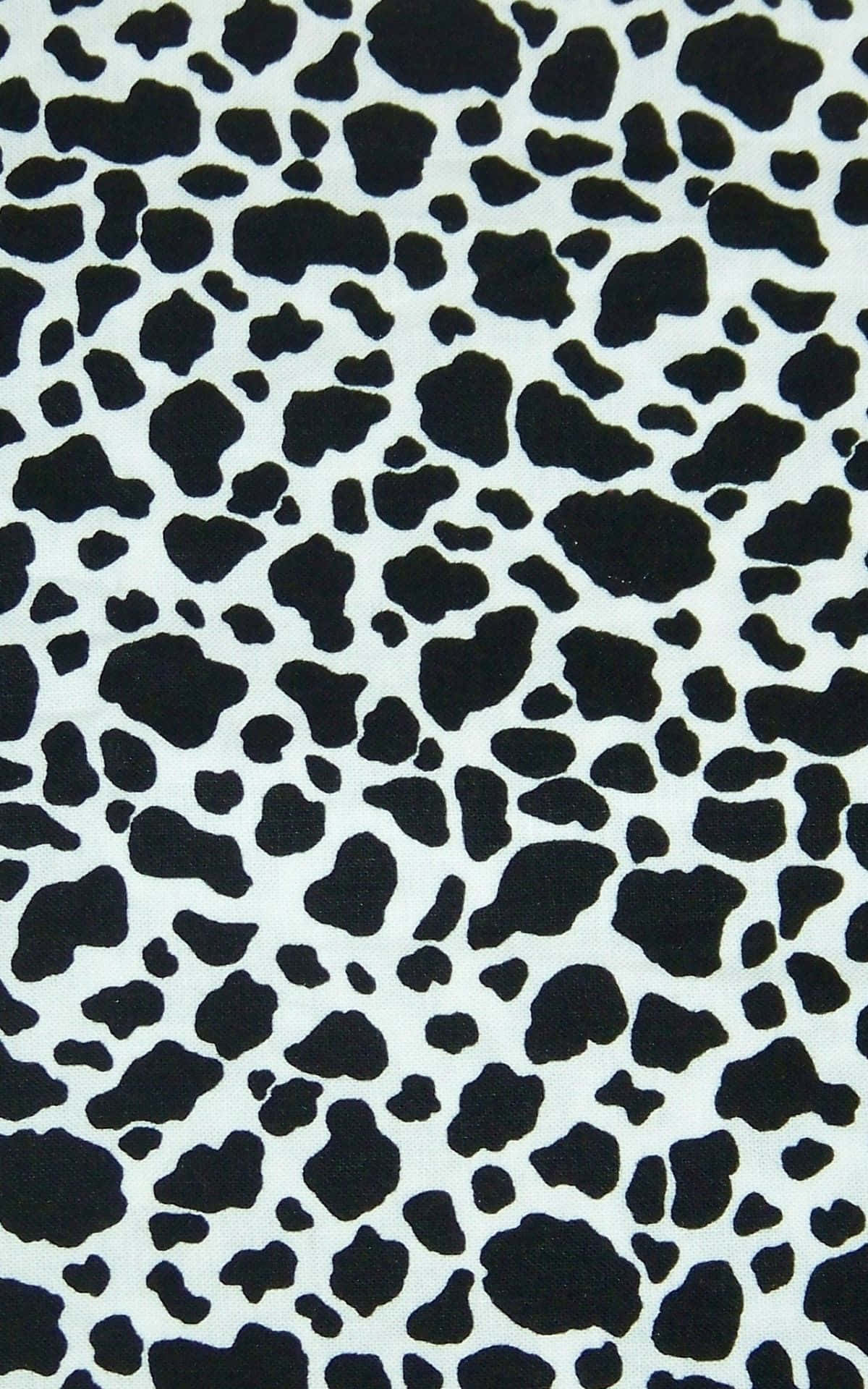 A Black And White Cow Print Fabric