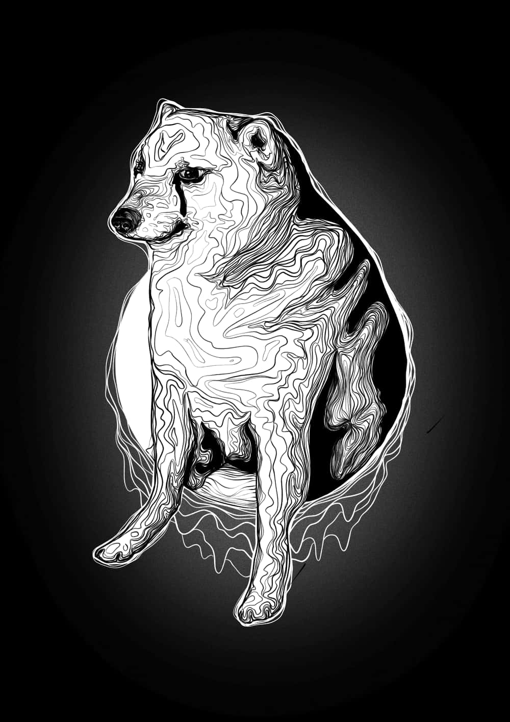 A Black And White Drawing Of A Dog Sitting On A Black Background Background