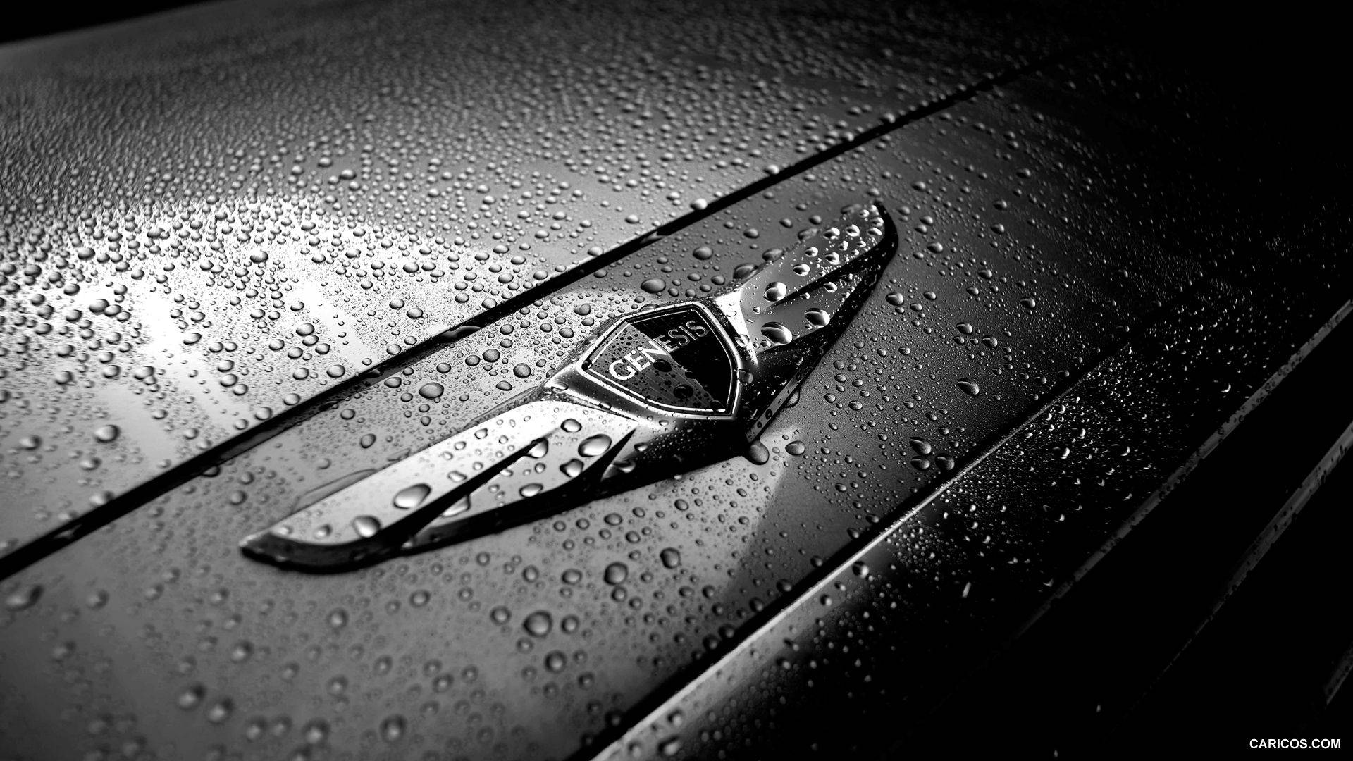 A Black And White Image Of A Car Hood With Rain Drops