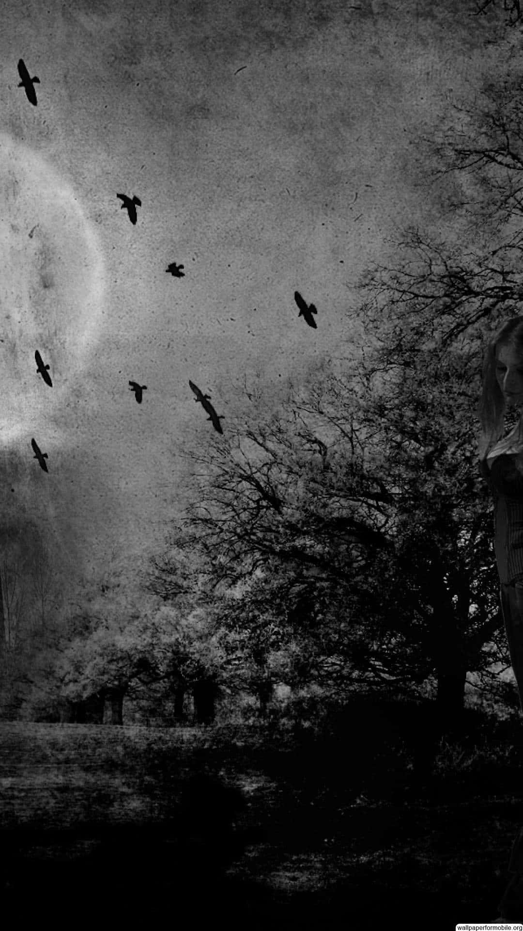 A Black And White Image Of A Woman With Birds In The Sky Background