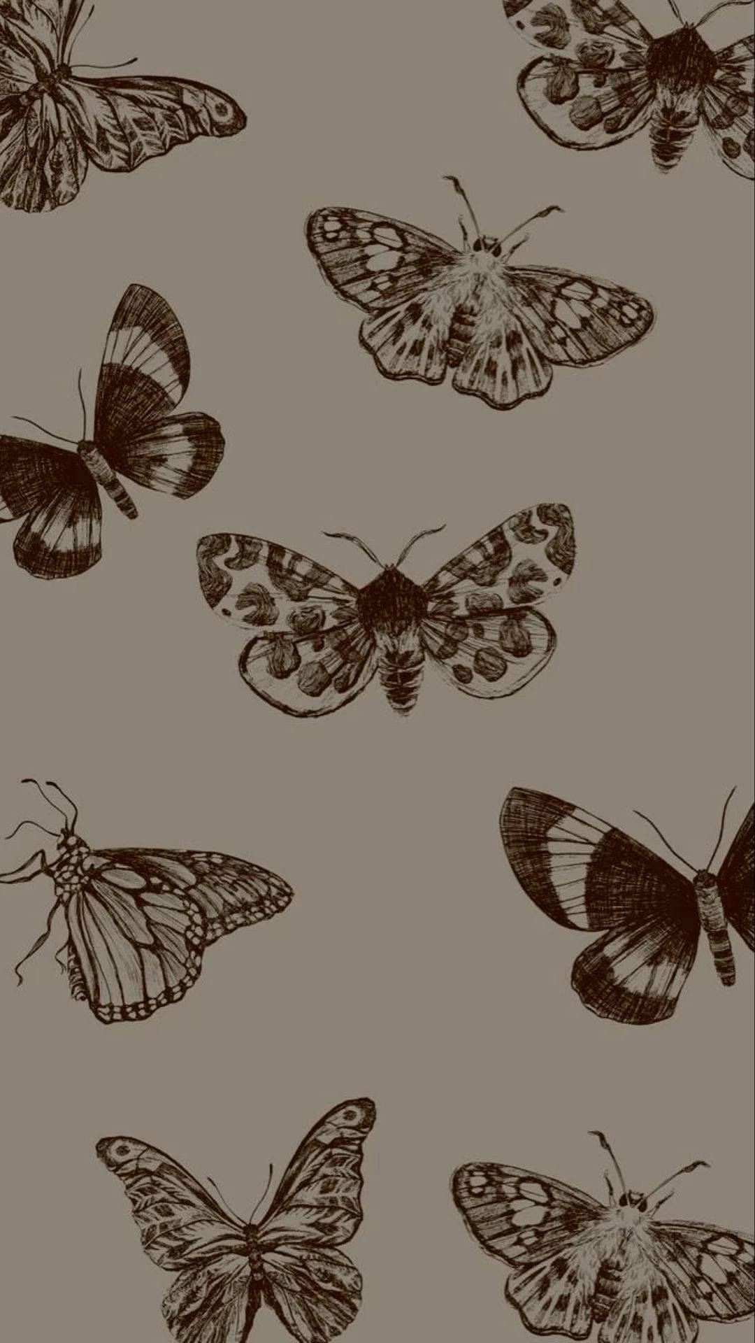 A Black And White Image Of Butterflies On A Brown Background Background