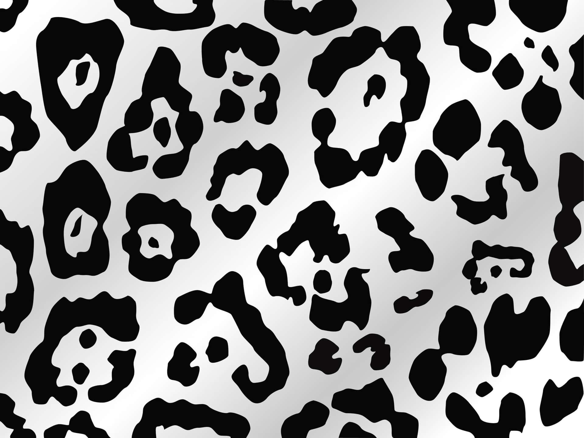 A Black And White Leopard Print Pattern Background