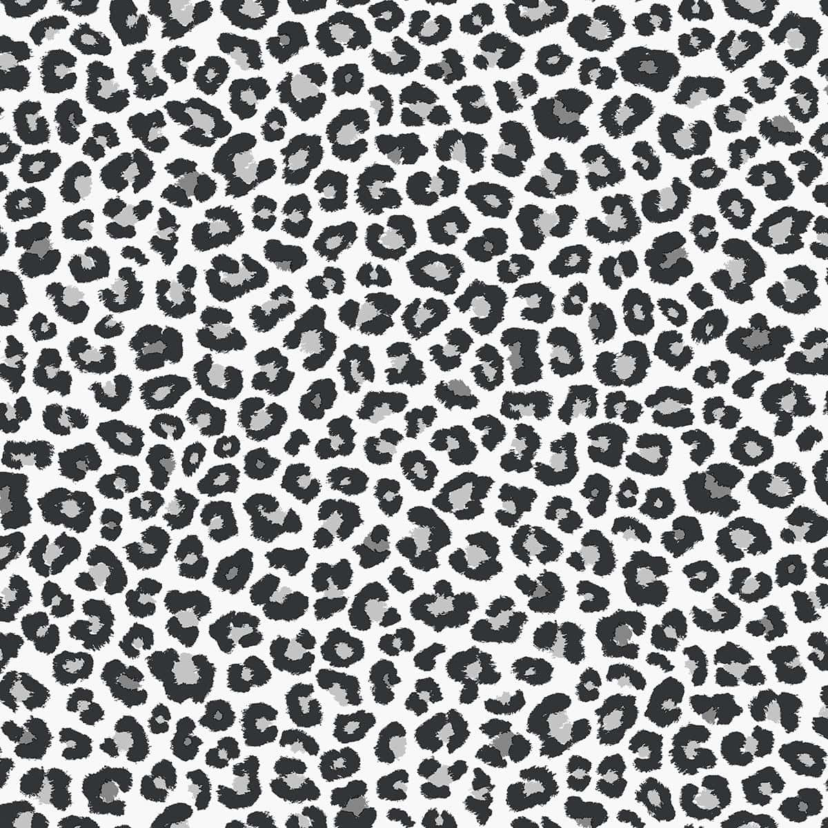 A Black And White Leopard Print Pattern Background