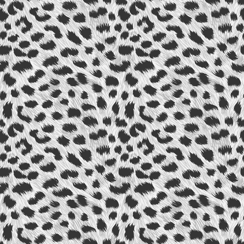 A Black And White Leopard Print Pattern Background