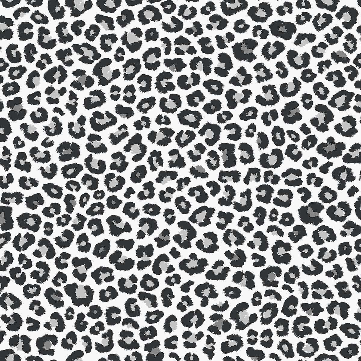 A Black And White Leopard Print Pattern Background