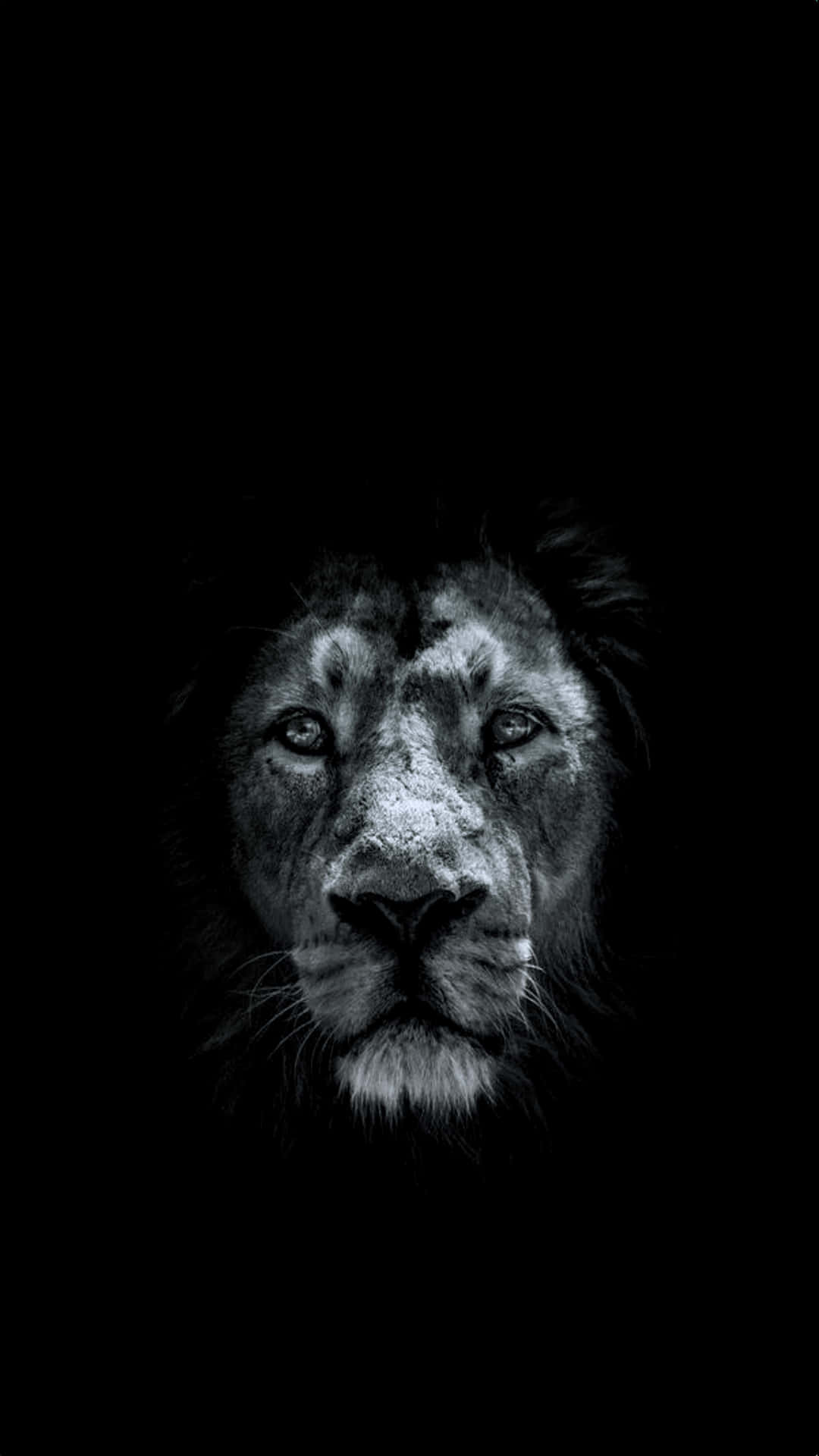 A Black And White Lion Face On A Black Background