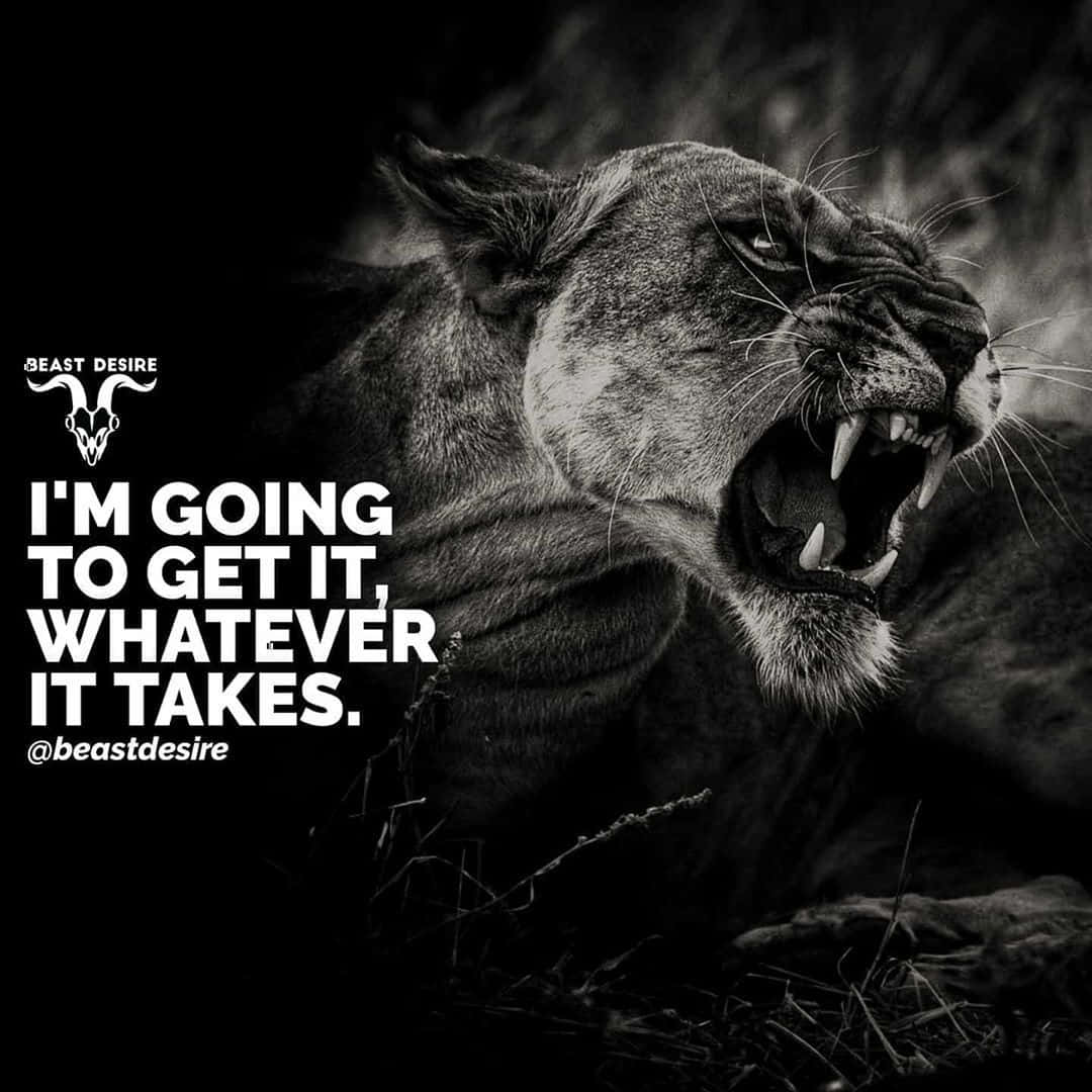 A Black And White Photo Of A Lion With The Quote I'm Going To Get It Whatever It Takes Background
