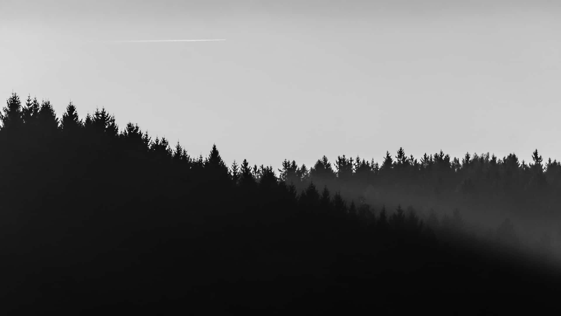 A Black And White Photo Of A Mountain With Trees
