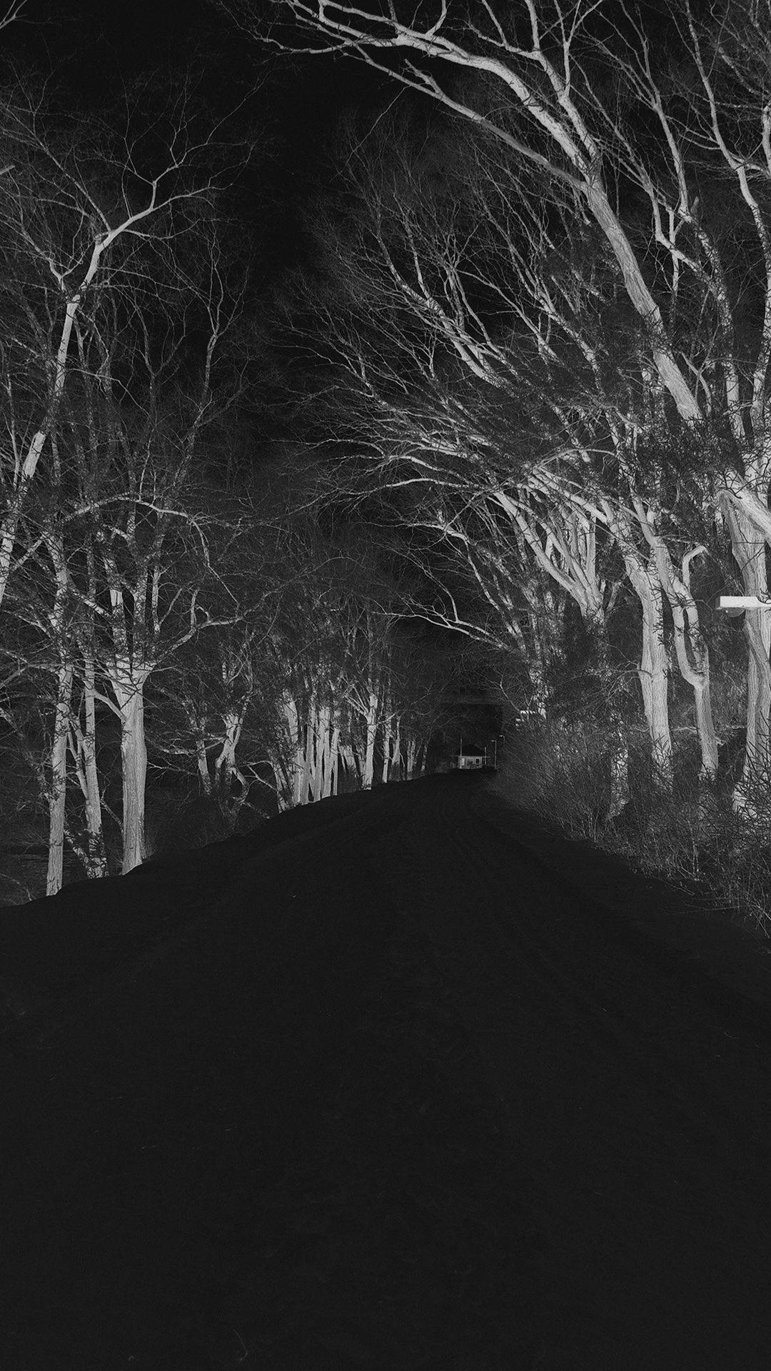 A Black And White Photo Of A Road With Trees Background