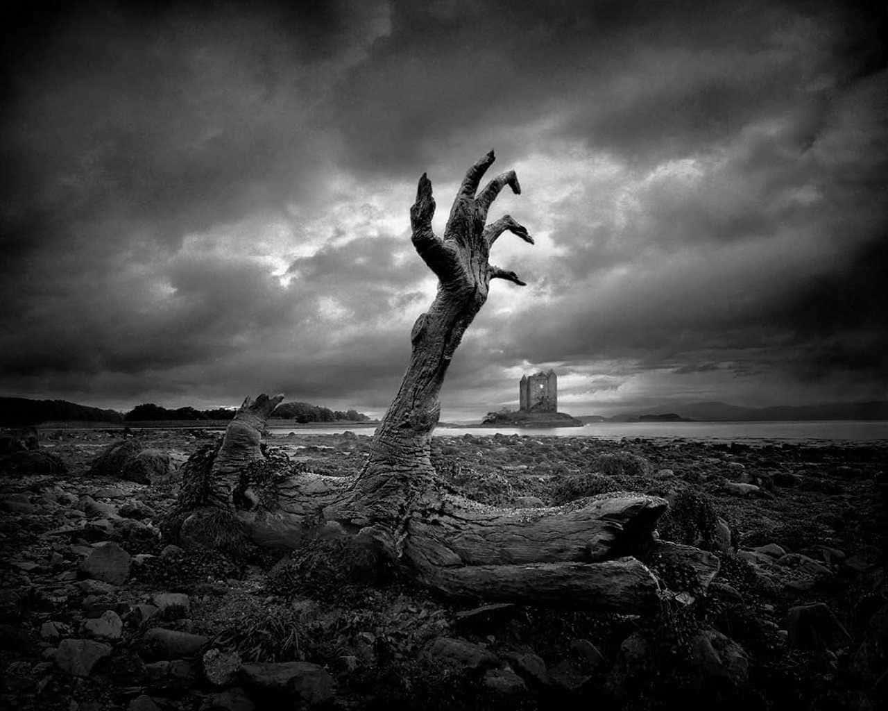 A Black And White Photo Of A Tree In The Middle Of A Stormy Sky Background