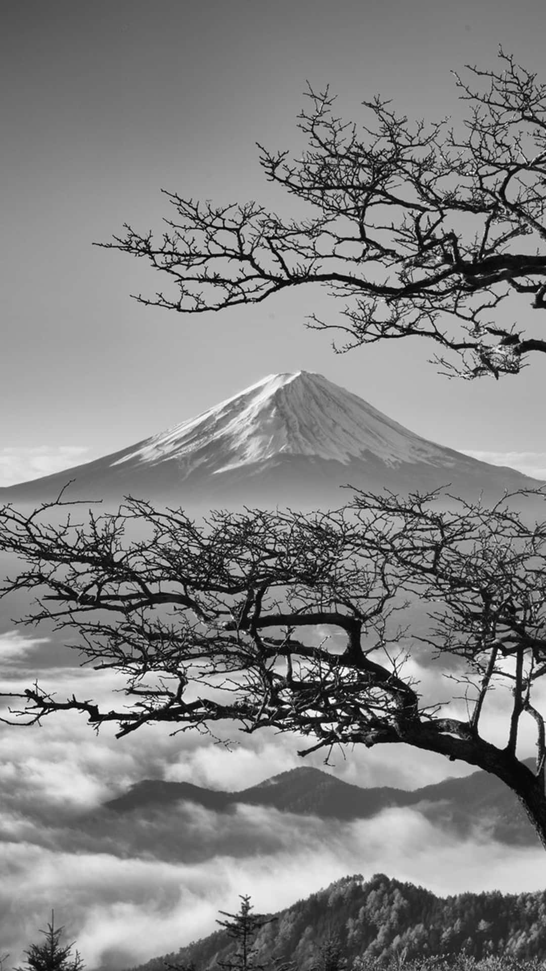 A Black And White Photo Of A Tree With A Cloud In The Background Background
