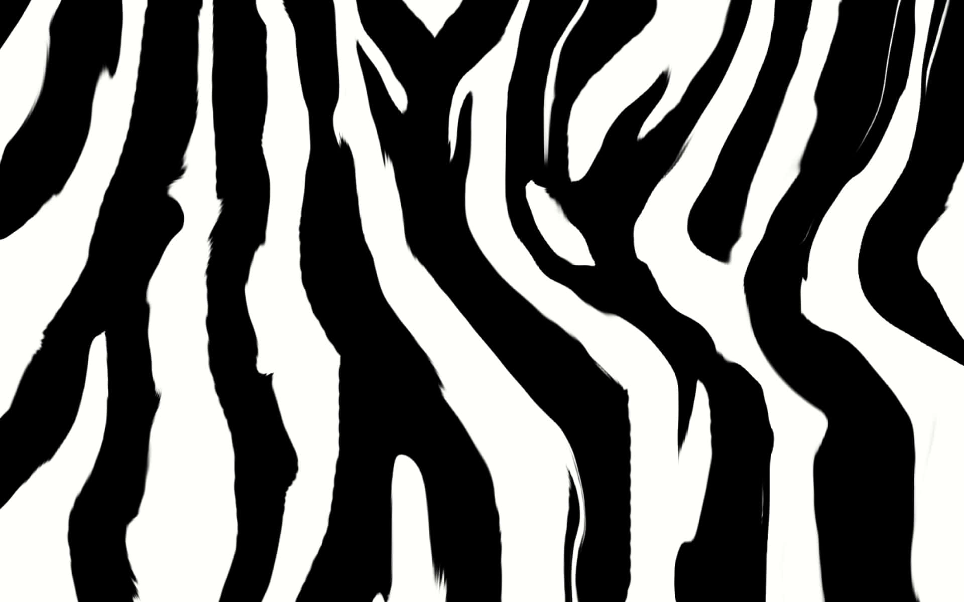 A Black And White Zebra Print Background