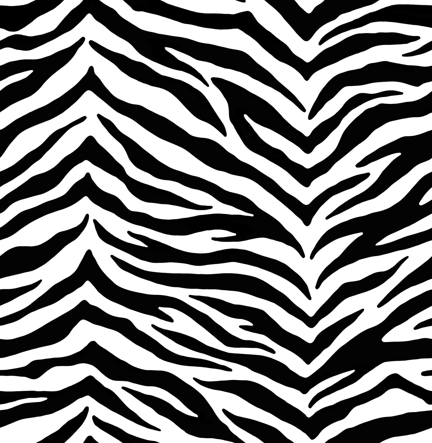 A Black And White Zebra Print Fabric Background