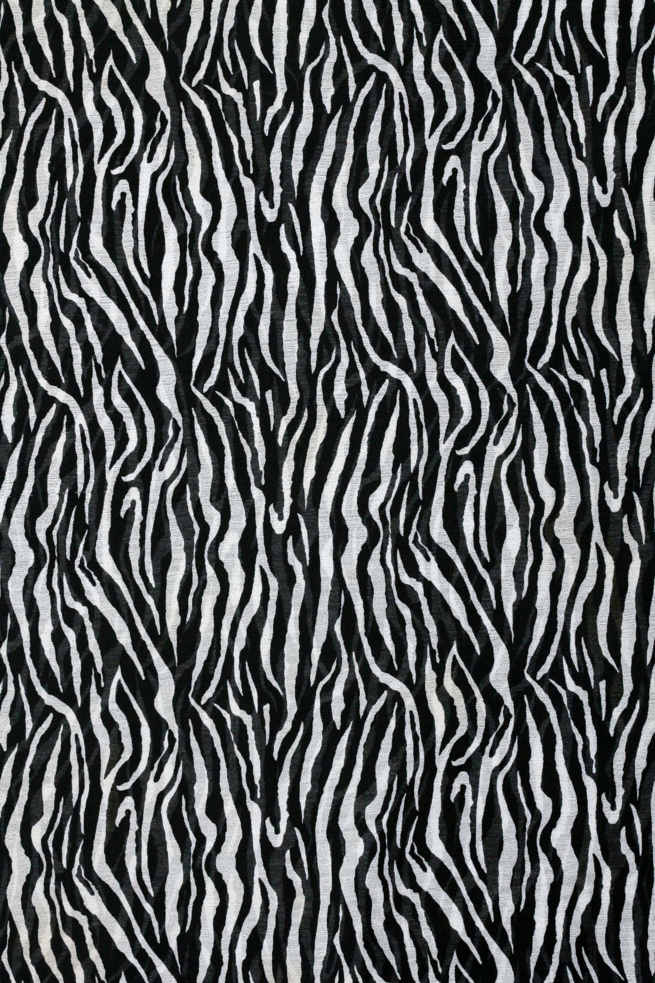 A Black And White Zebra Print Fabric Background