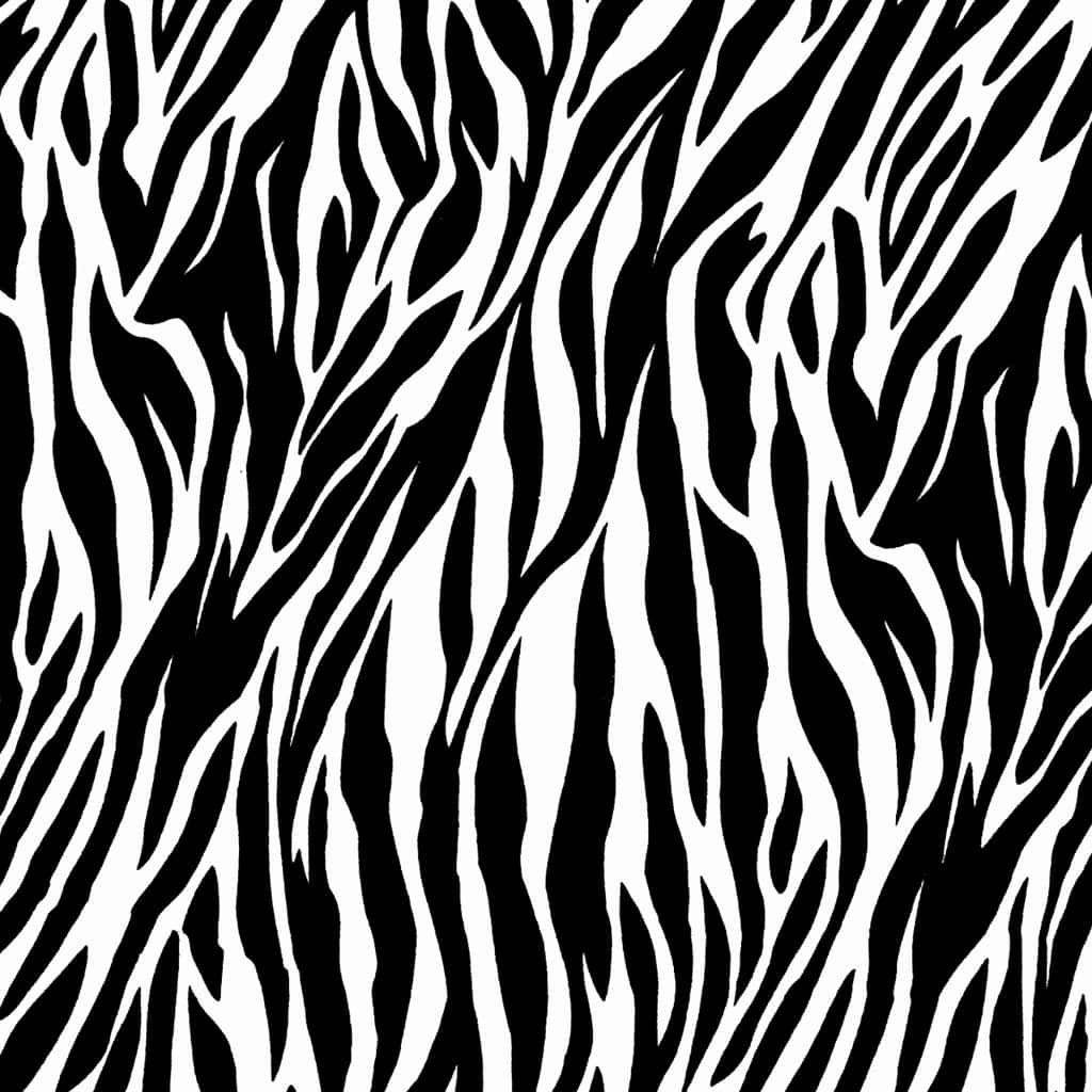 A Black And White Zebra Print Pattern Background