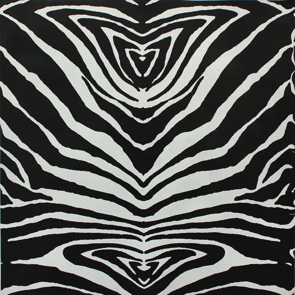 A Black And White Zebra Print Rug Background