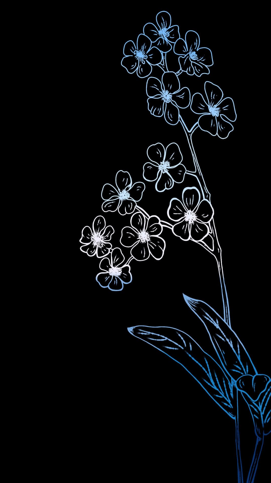 A Black Background With A Blue Flower Background