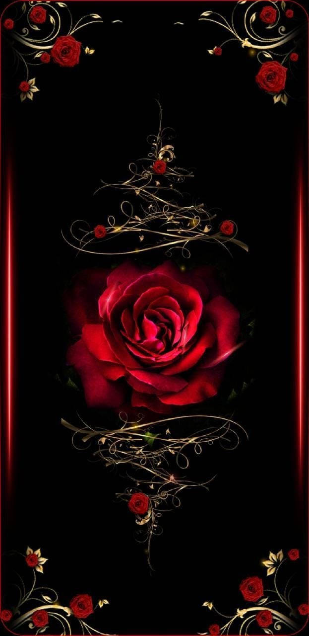 A Black Background With A Red Rose