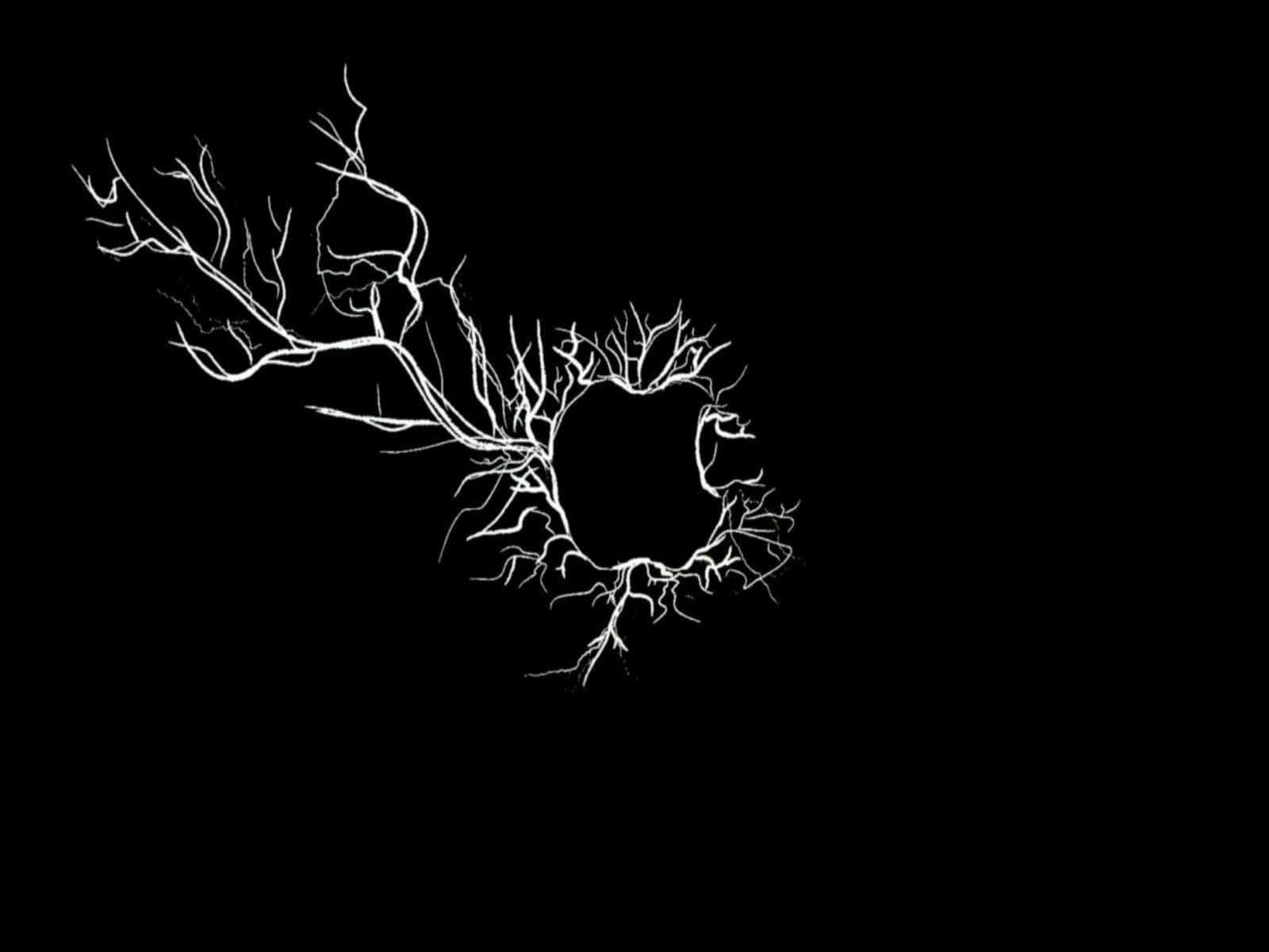 A Black Background With A Tree In The Middle Background