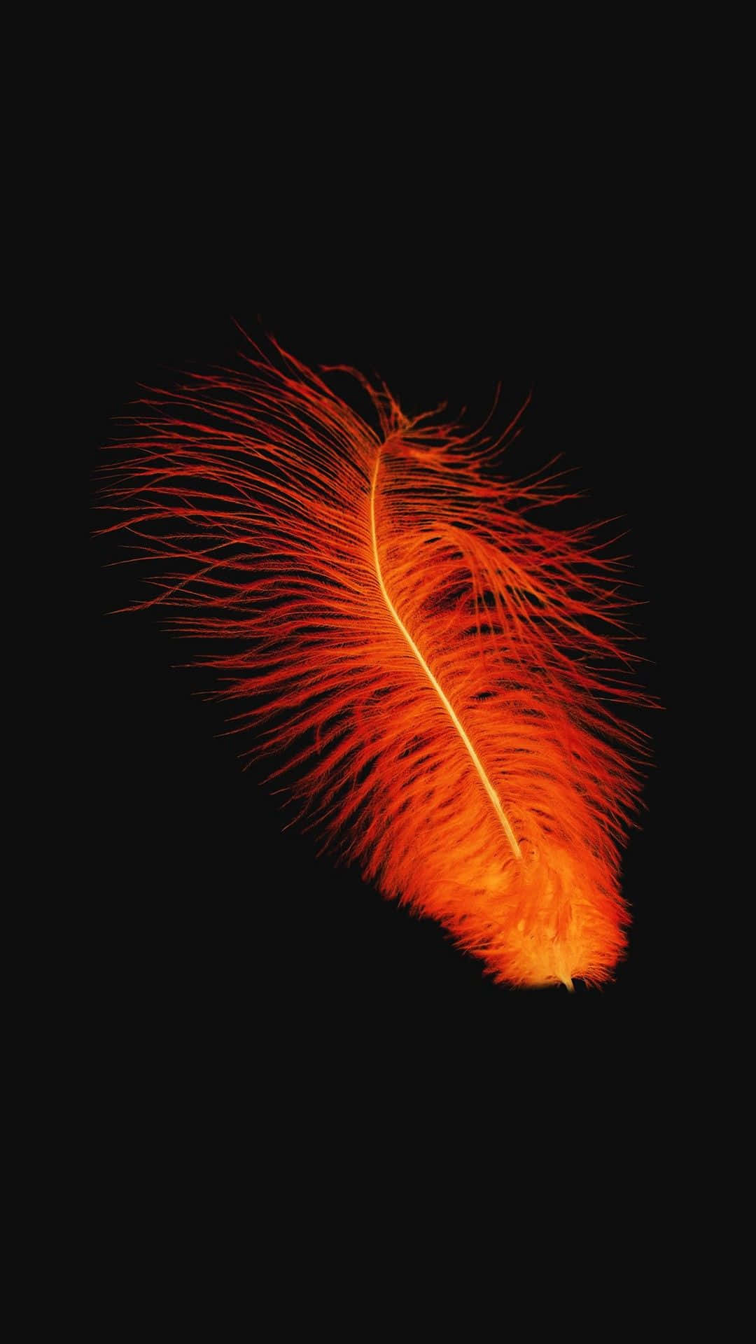 A Black Background With An Orange Feather