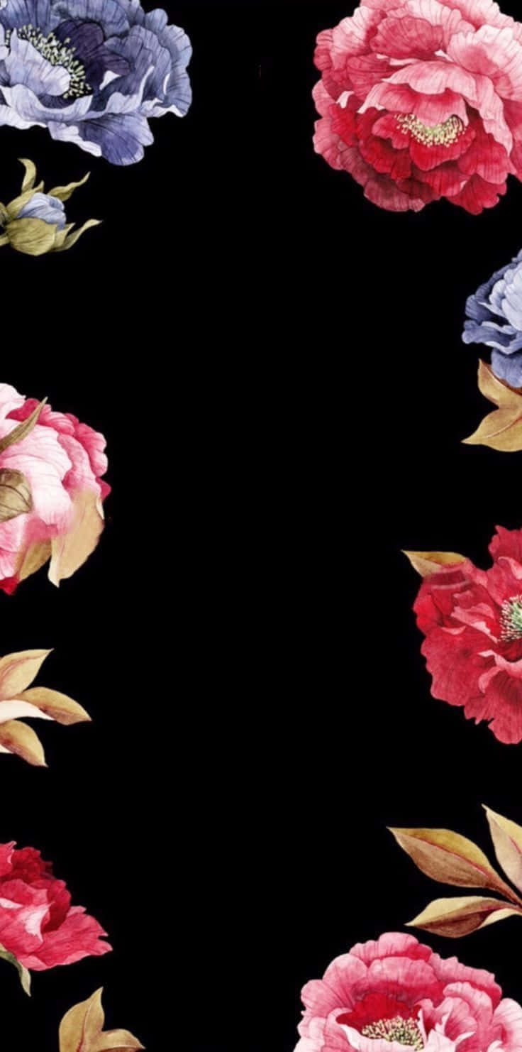 A Black Background With Flowers On It Background