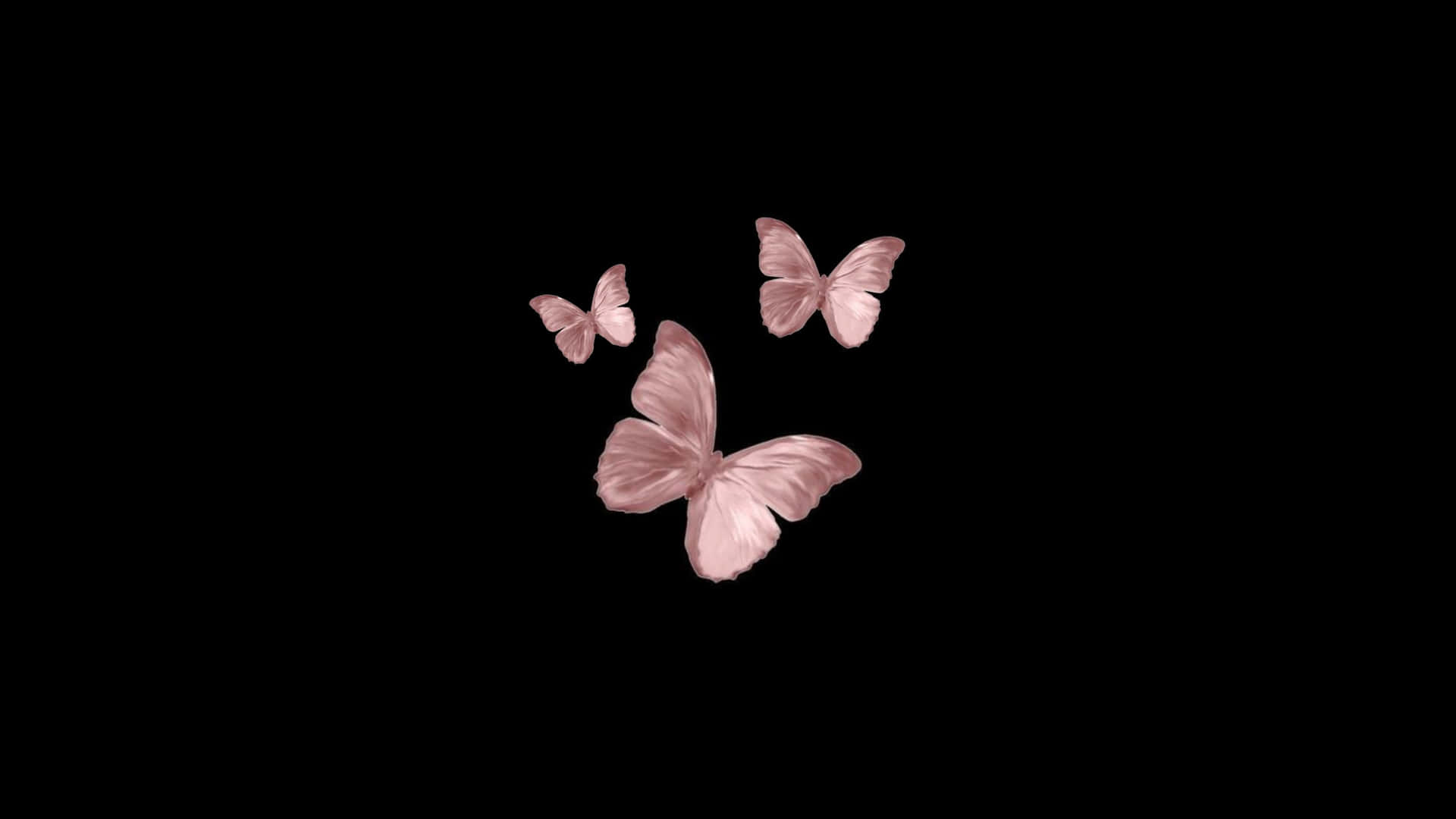 A Black Background With Pink Butterflies Flying In The Air Background