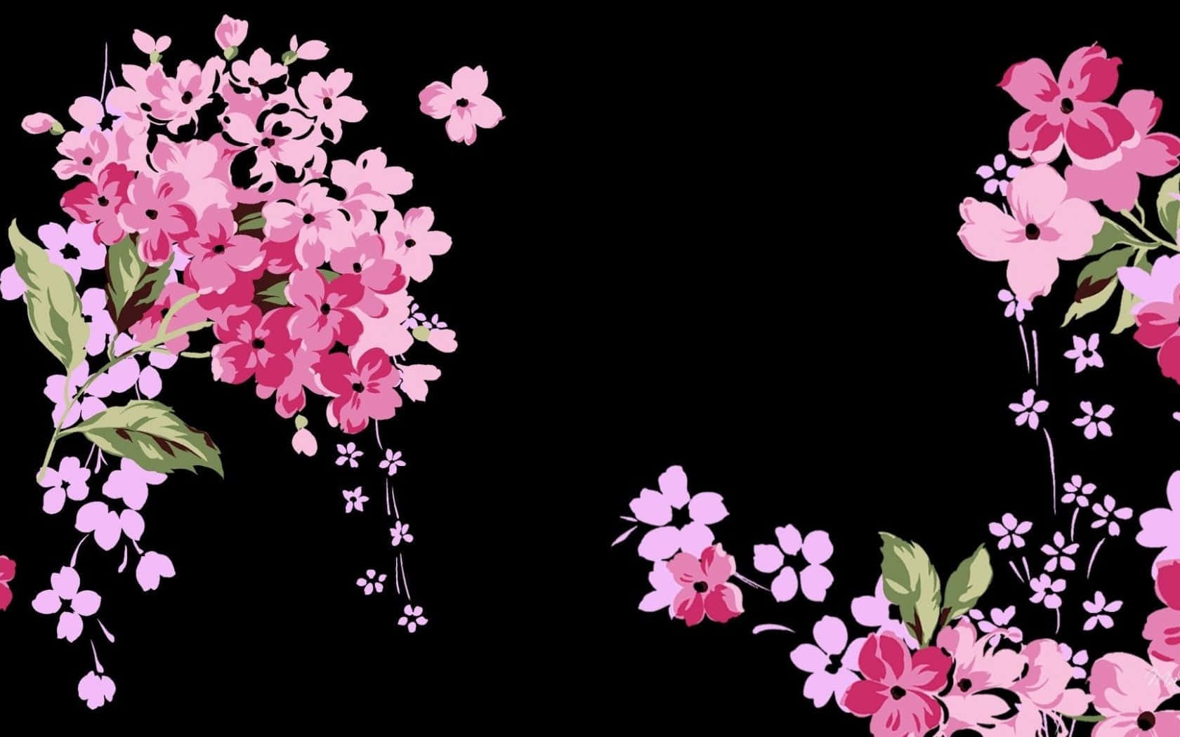 A Black Background With Pink Flowers On It Background