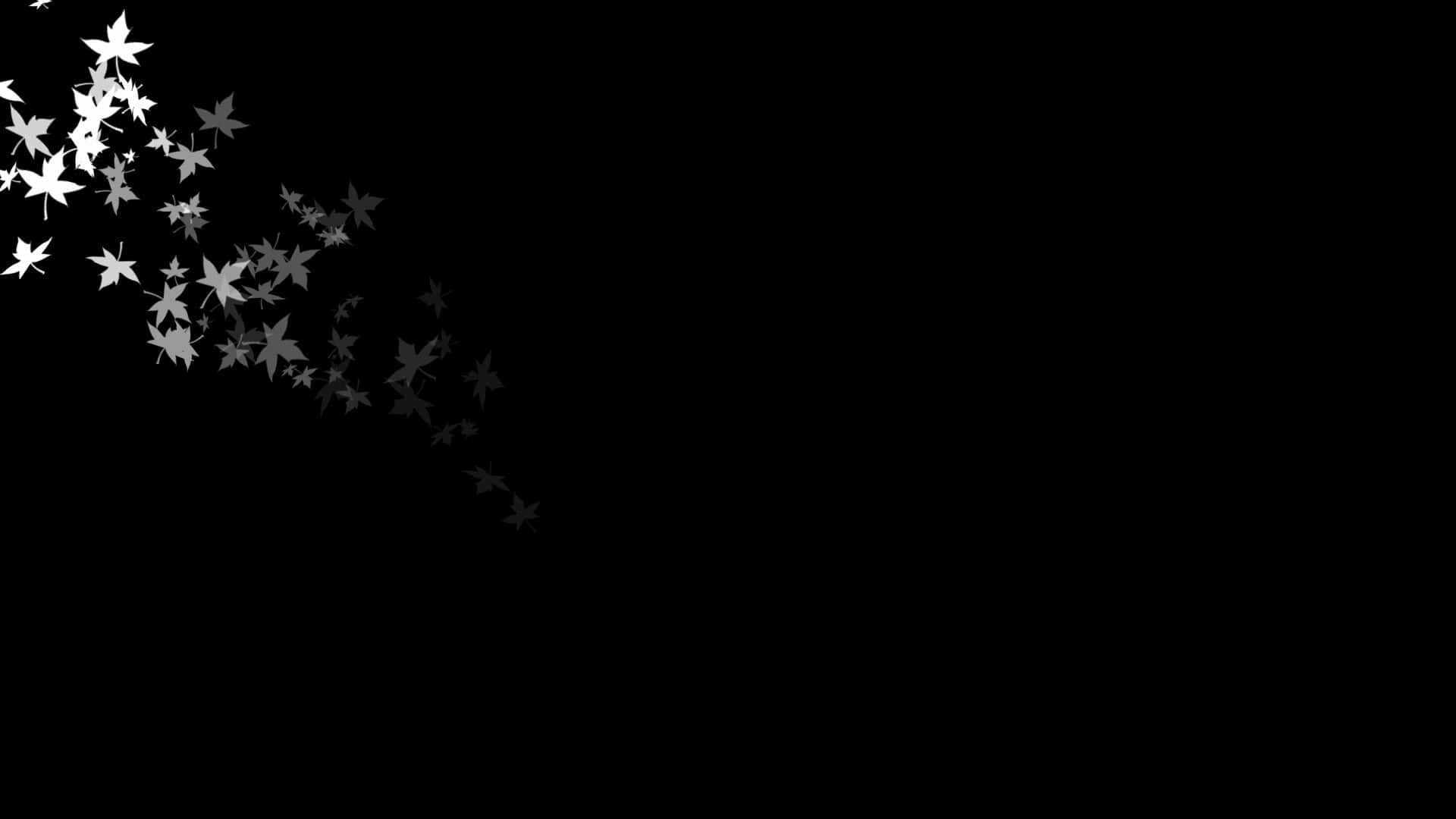 A Black Background With White Stars Flying In The Air Background
