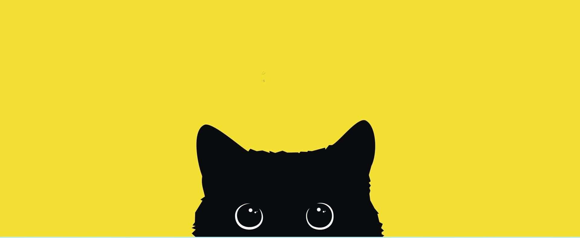 A Black Cat With Eyes On A Yellow Background Background