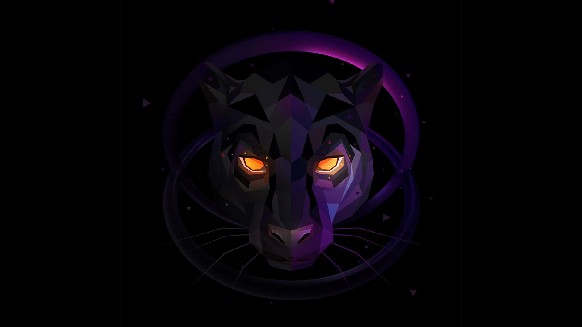 A Black Cat With Purple Eyes On A Black Background