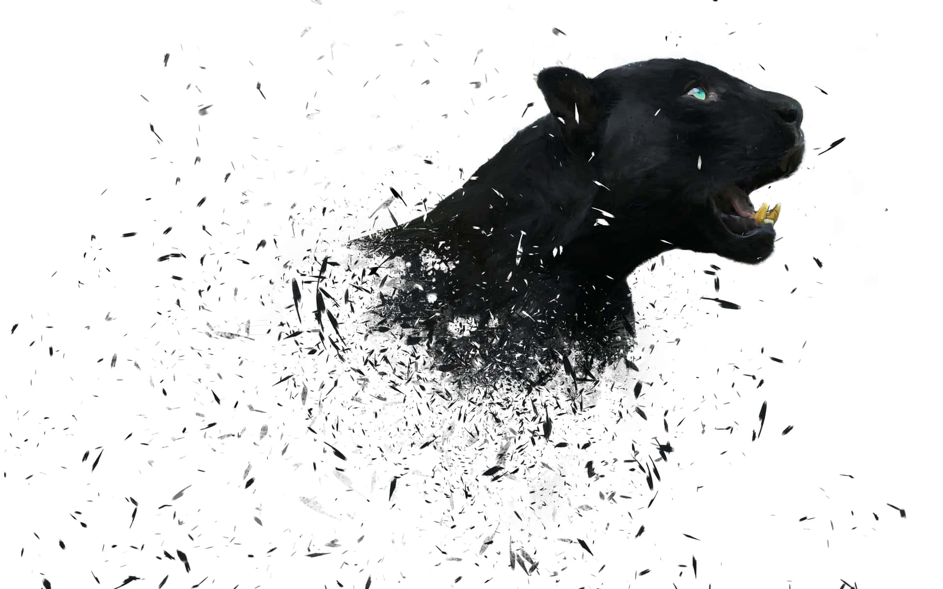 A Black Panther Is Running Through A White Background Background