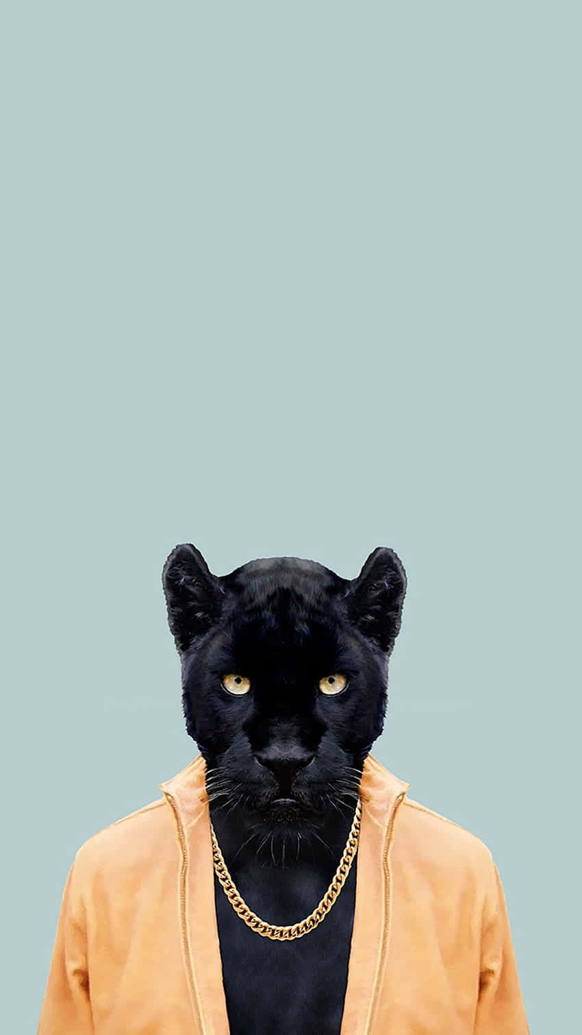 A Black Panther Wearing A Yellow Jacket
