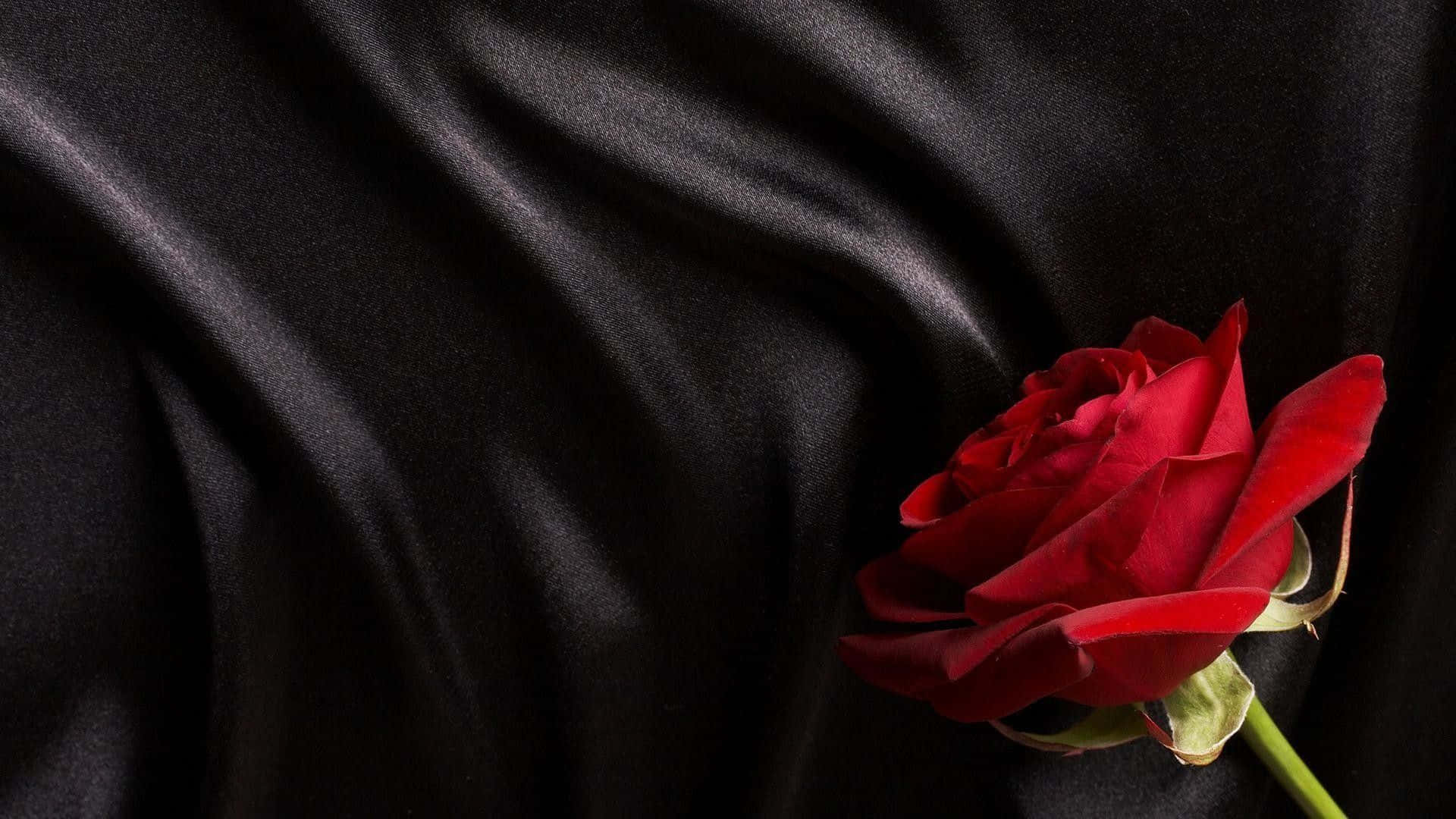 A Black Rose Representing Beauty And Elegance Background