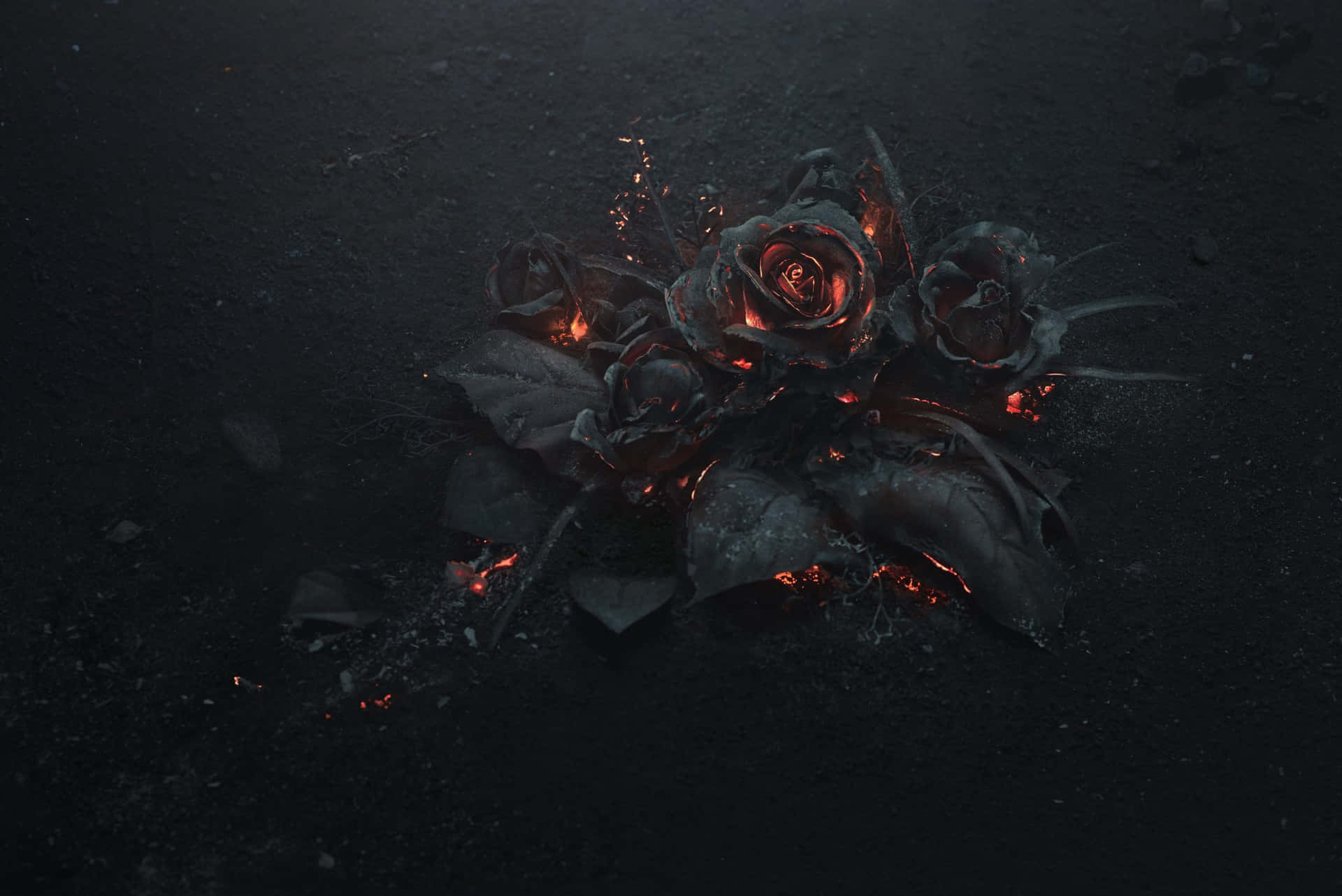 A Black Rose With Flames On It Background