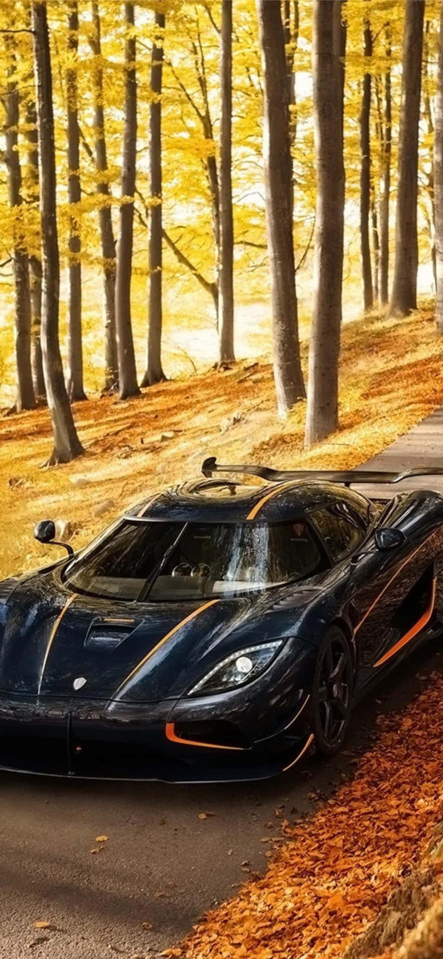 A Black Sports Car Is Parked In The Woods Background