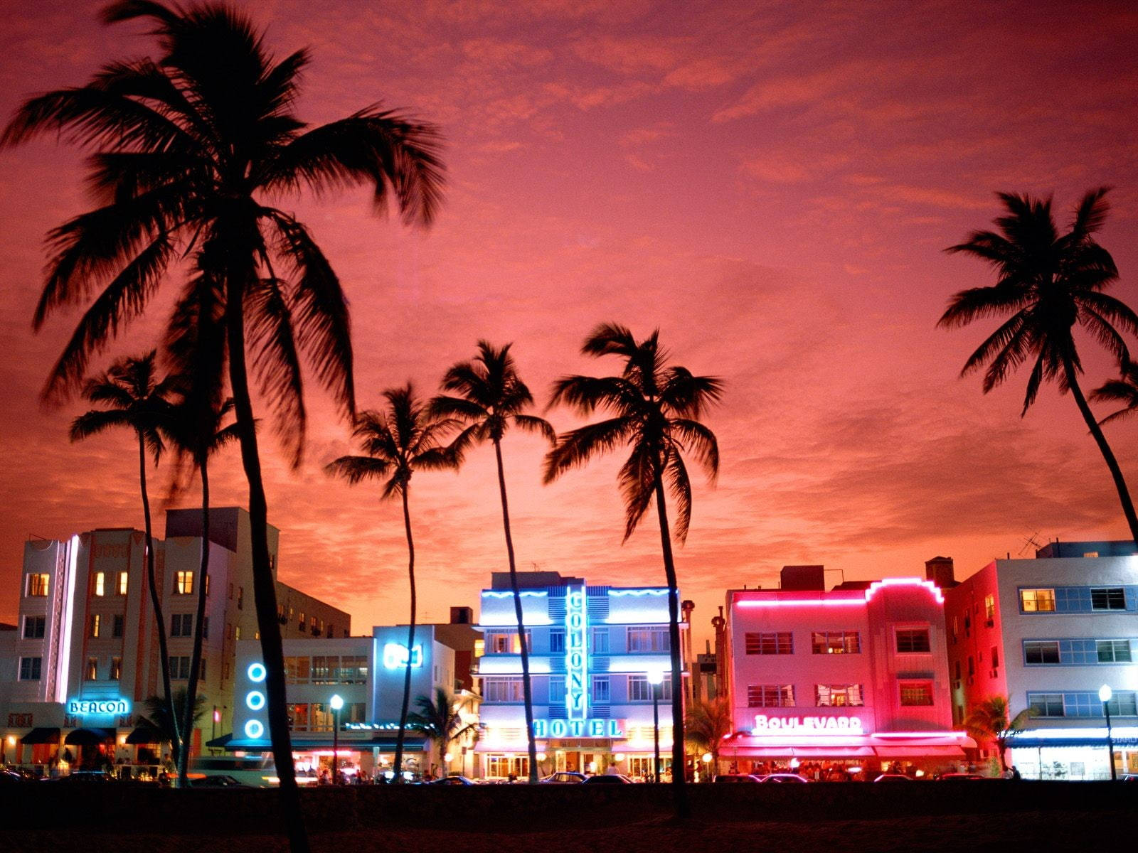 A Blissful Miami Sunset Framed By Palm Trees Background