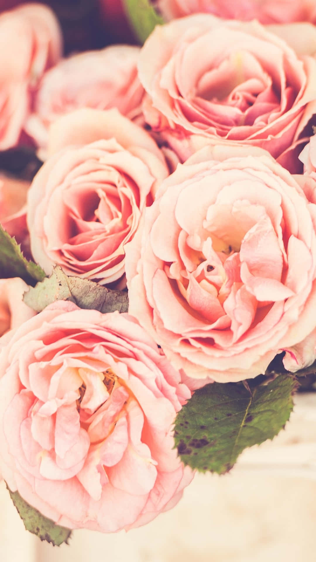 A Blooming Floral Design For Your Iphone Background