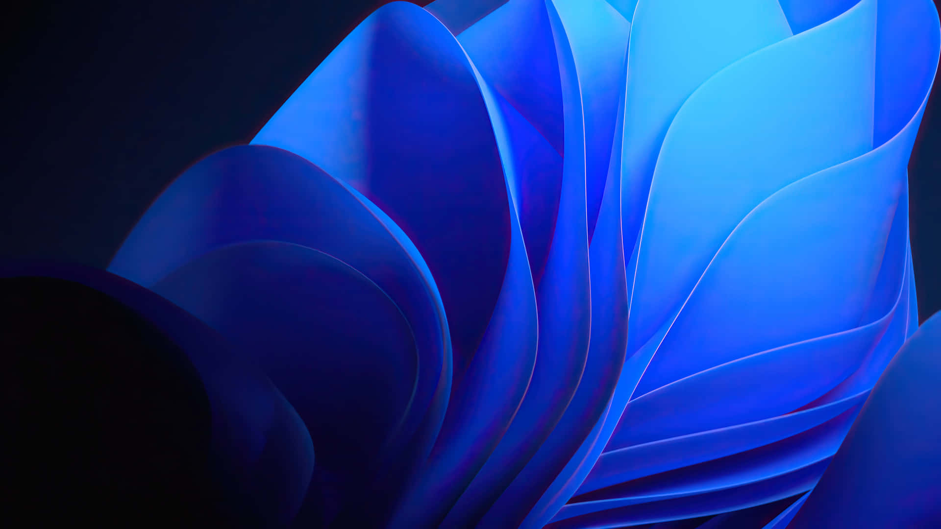 A Blue Abstract Flower With A Black Background Background