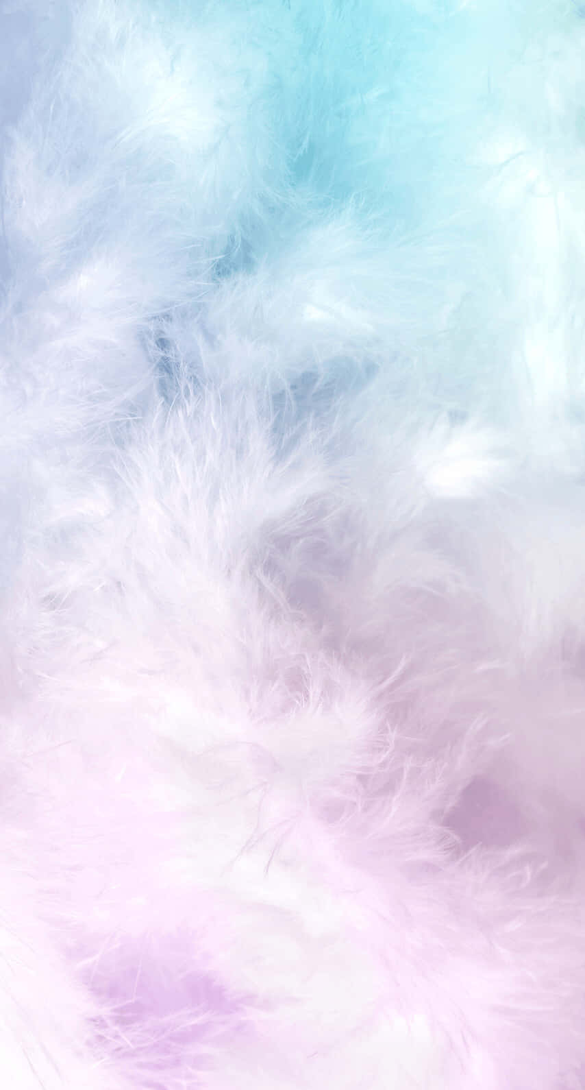 A Blue And Pink Feathered Background