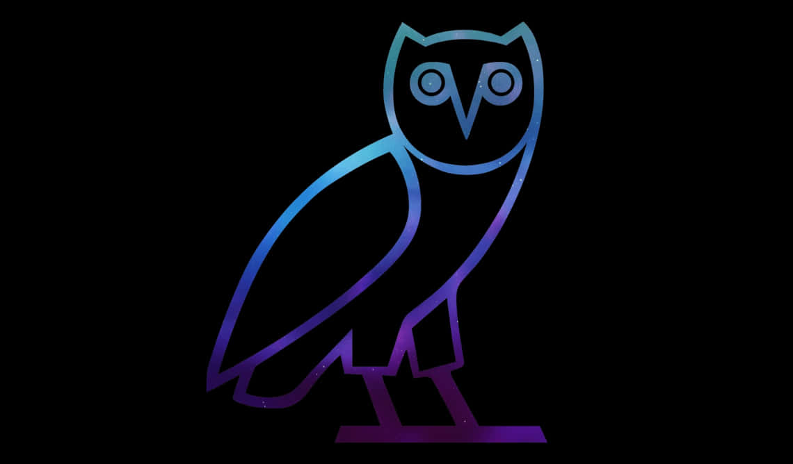 A Blue And Purple Owl Is Standing On A Black Background Background