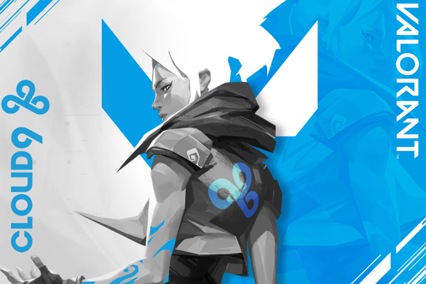 A Blue And White Image Of A Character With A Sword Background