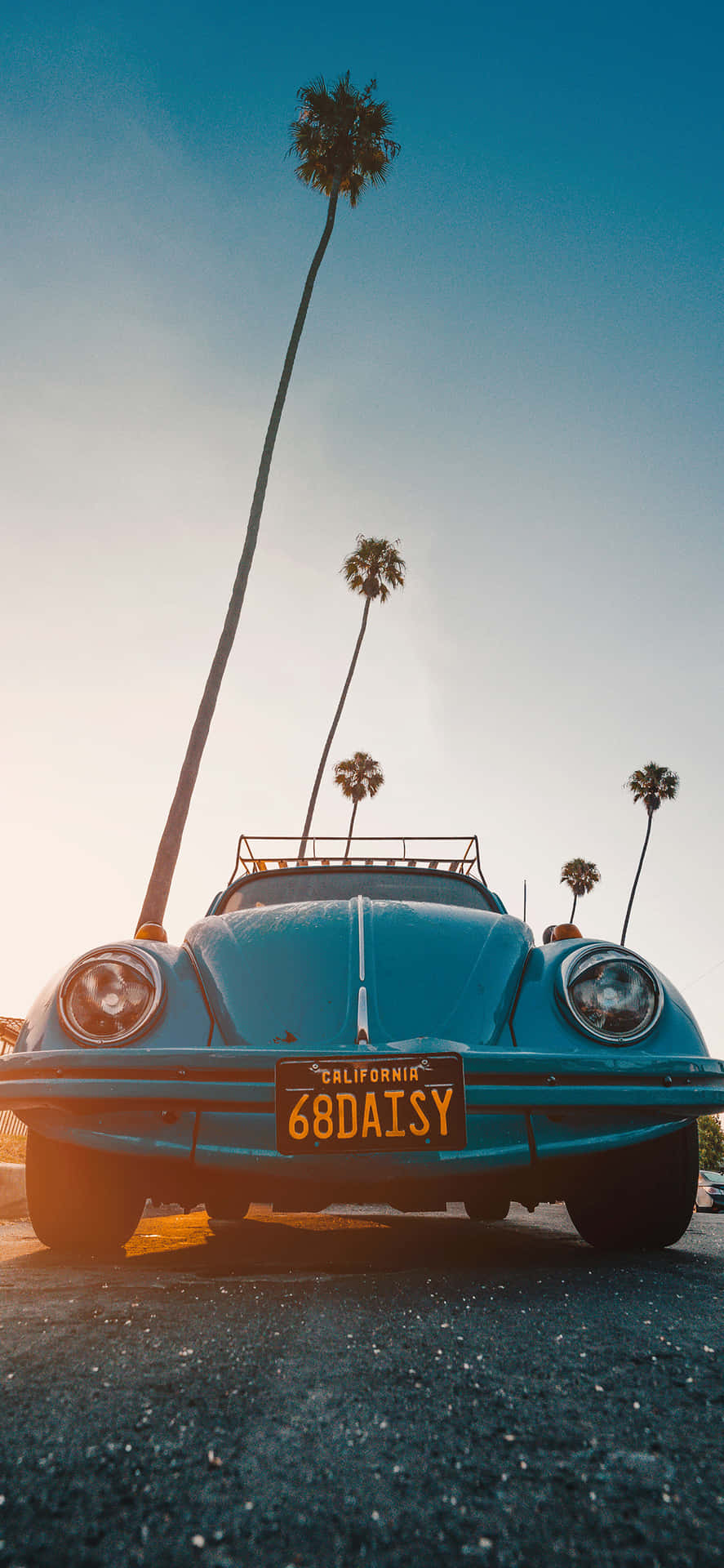 A Blue Car Parked In Front Of Palm Trees