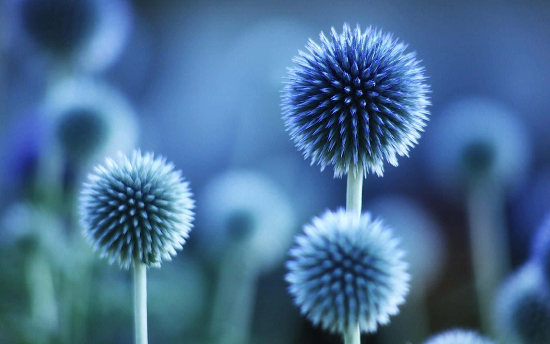 A Blue Flower Blooming Against A Soft Green Background Background